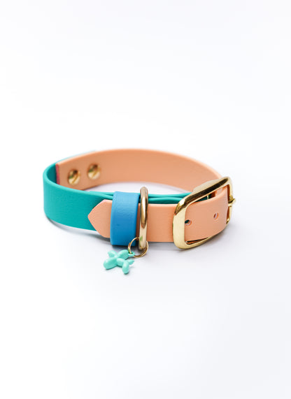 Flat collar/  21-26cm