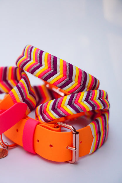 Sydney collars- Summer Combo