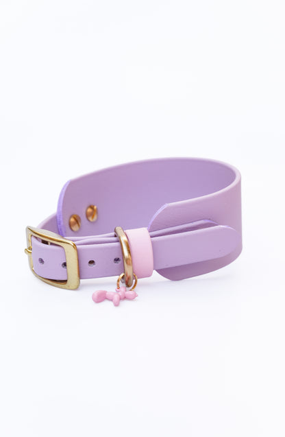 Size 24-30cm SIGHTHOUNDS collar