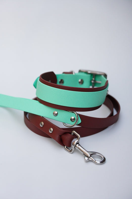 Collar & Leash set (35-45cm)
