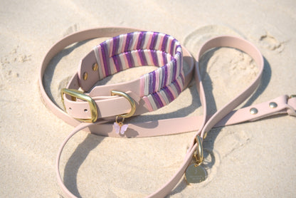 Tapered Sydney Collar