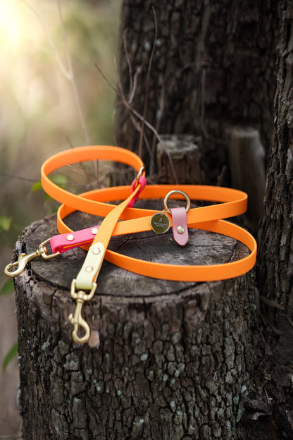 Hands Free Biothane® Leash