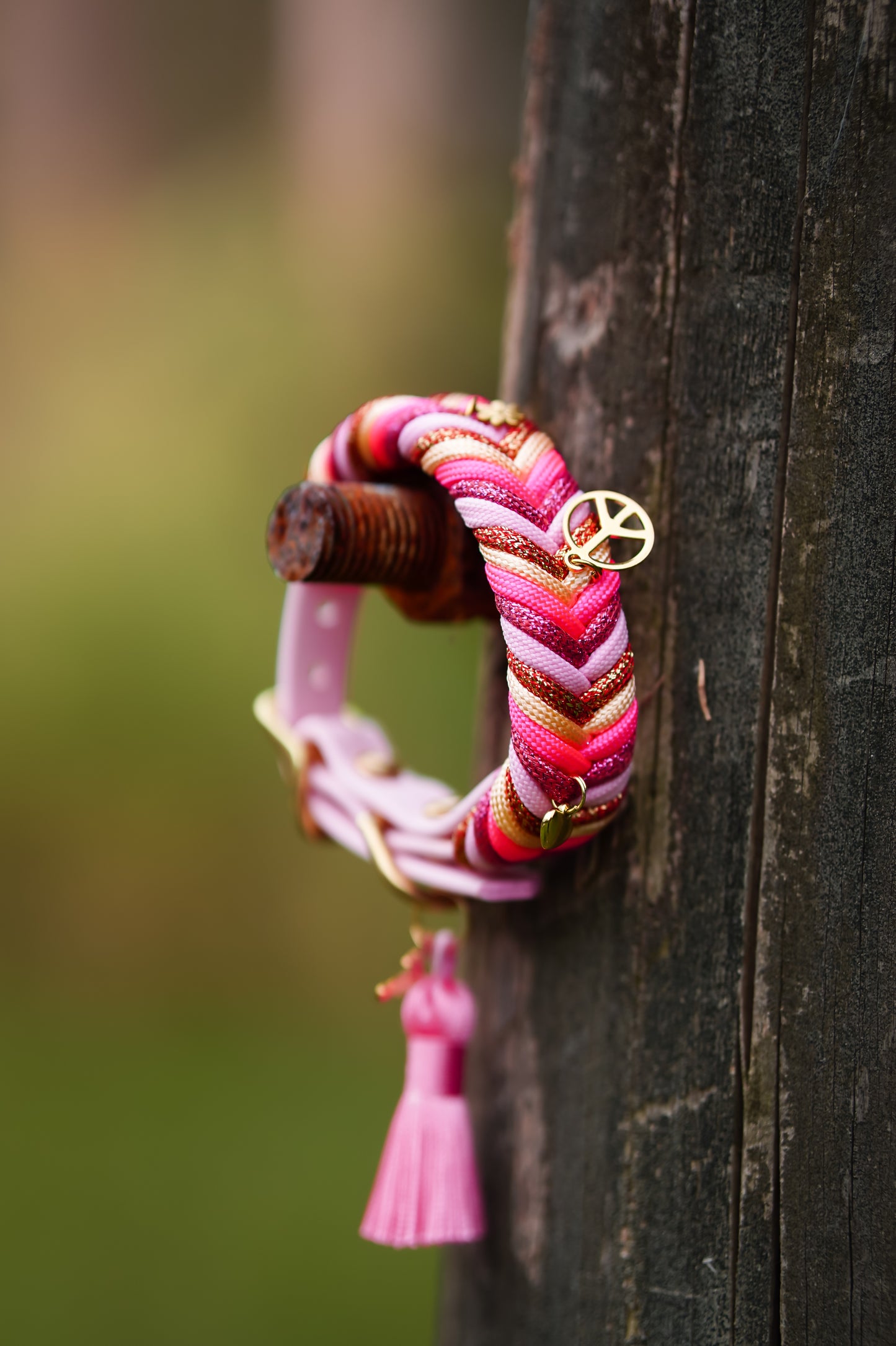 (TOY BREEDS) Sydney collar