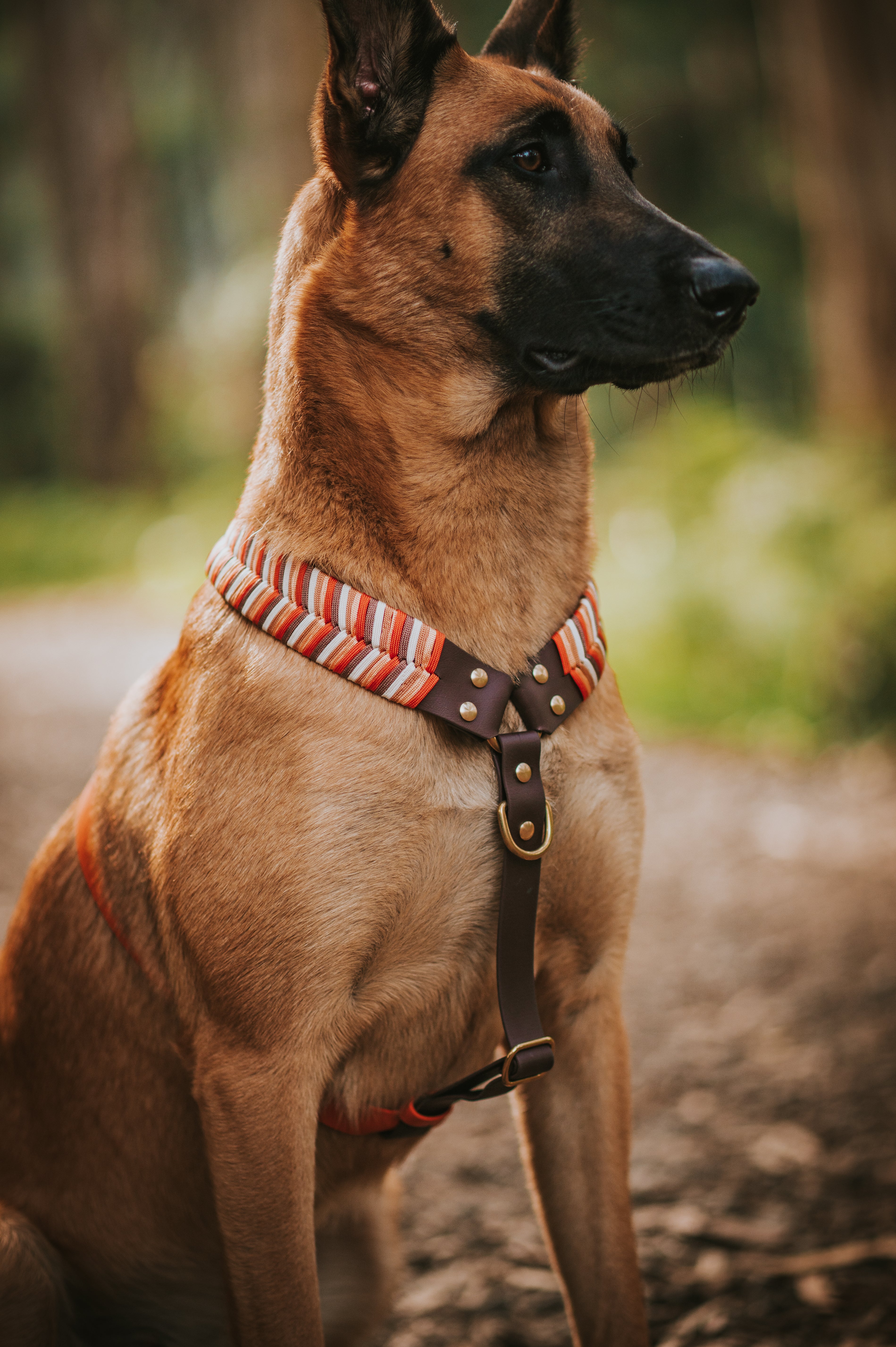 CUSTOM Braided Harness