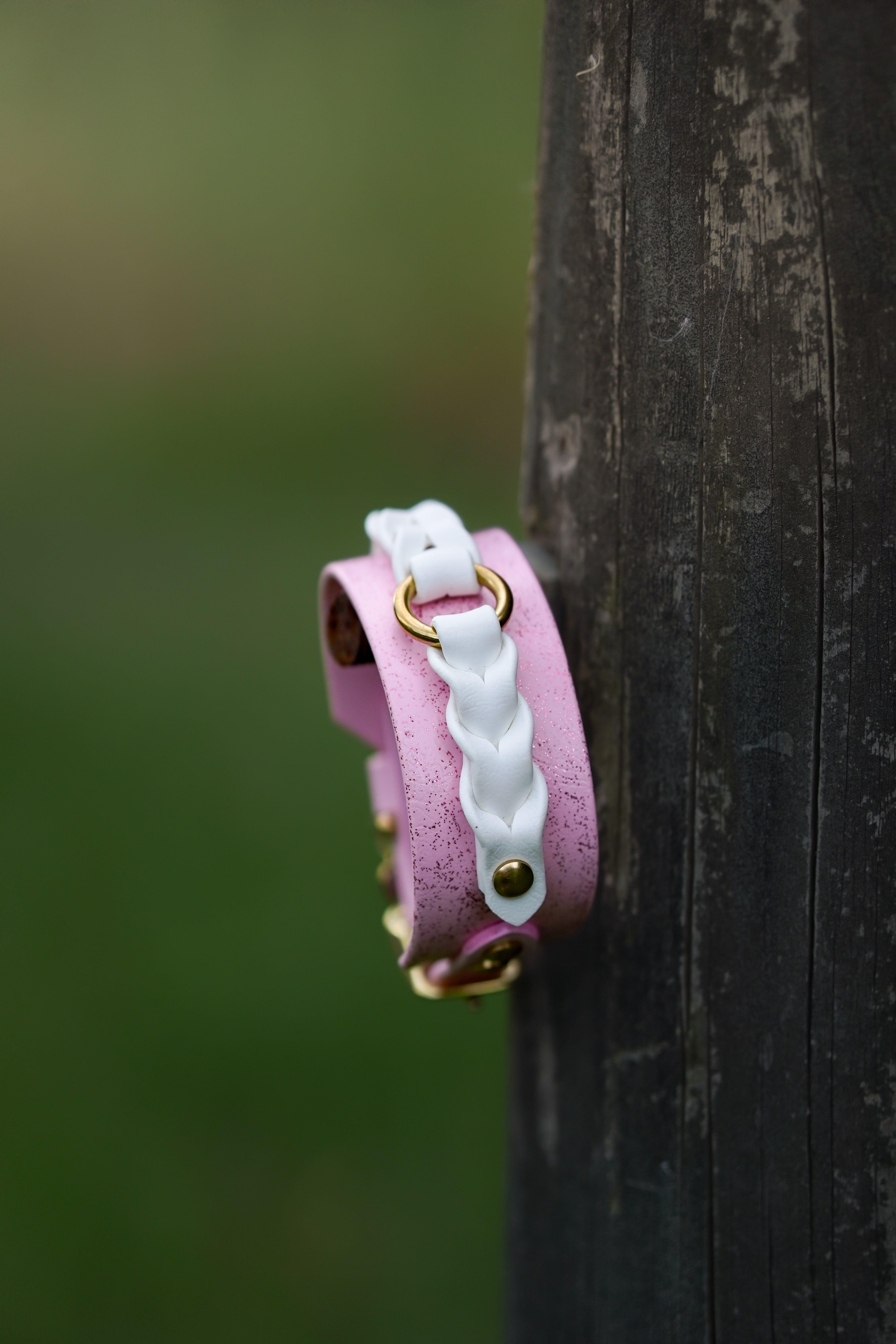 Braided collar (Sighthound)