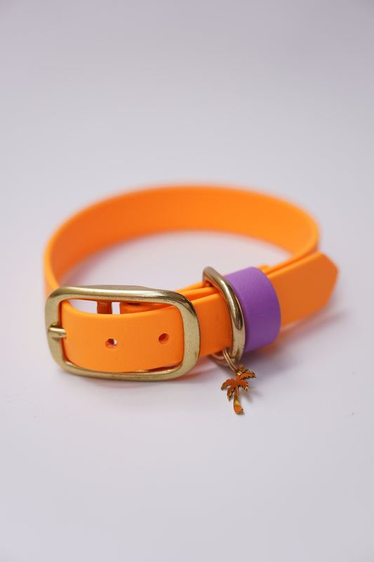 SD collar 20mm width (27-34cm) Orange/Lilac