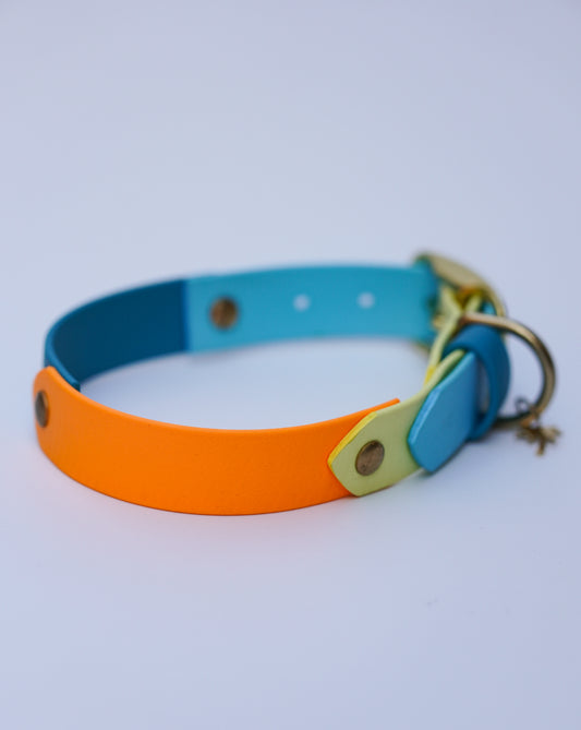Prague collar 25mm width (M)