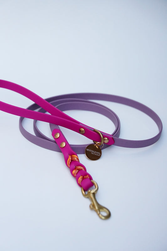 Biothane Leash 150cm