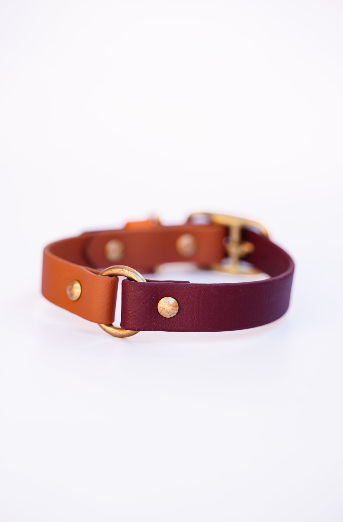 Biothane collar/  30-36cm+ o-ring