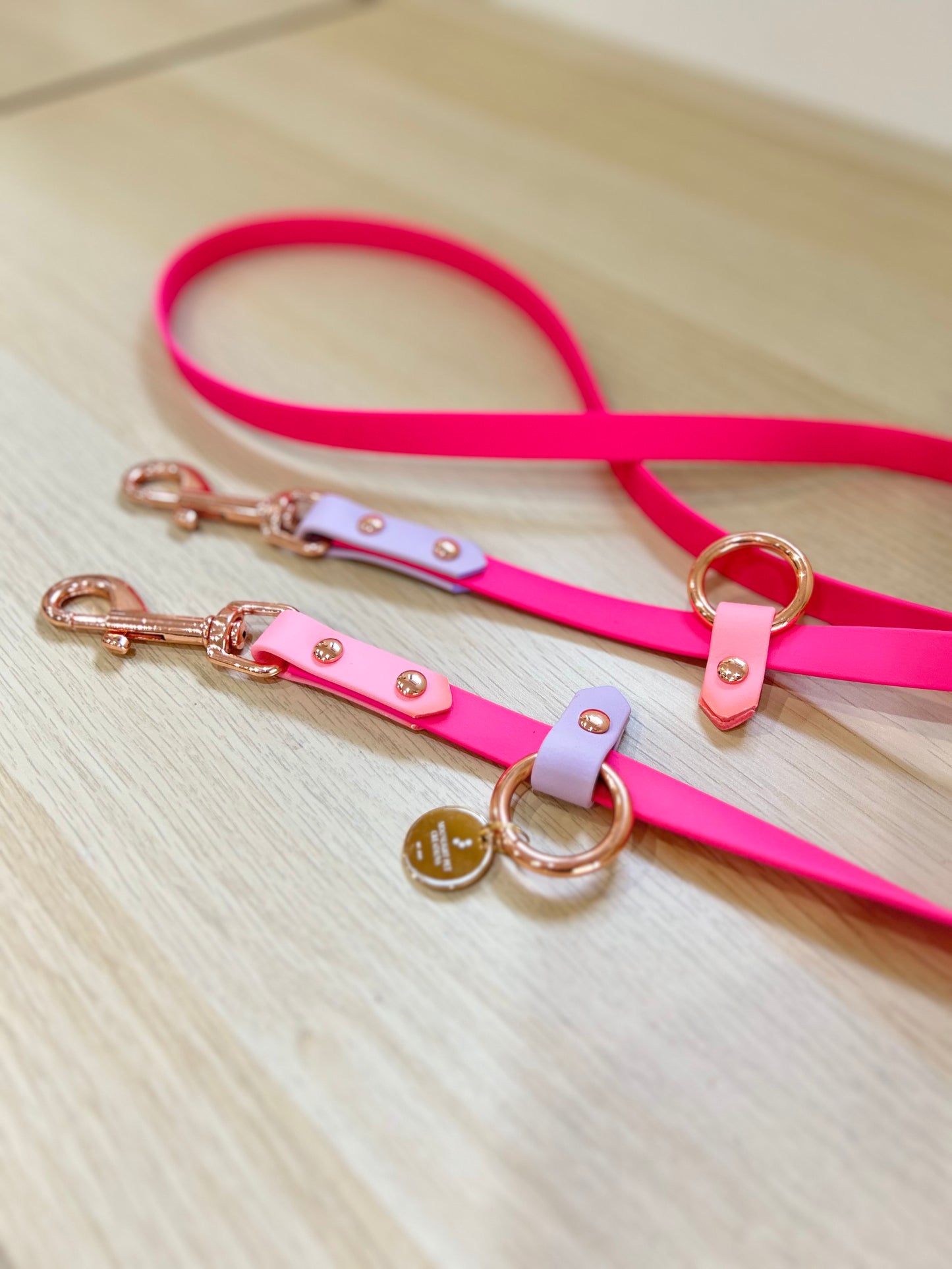 Hands-free biothane leash
