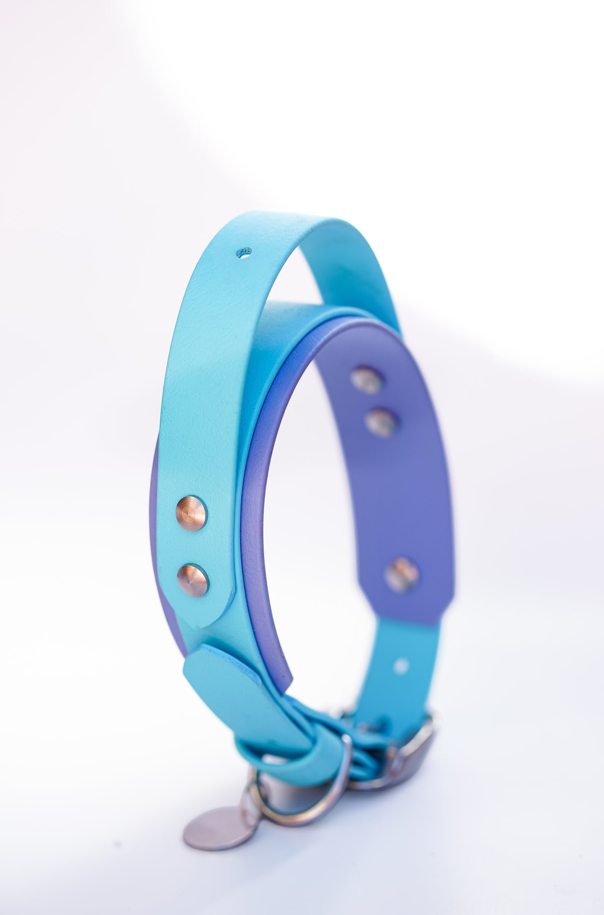 Paris collar with Handle & Name plate // 35-45cm