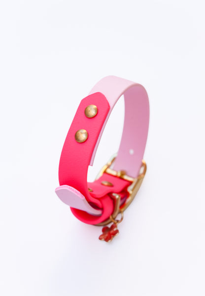 Biothane collar/  24-30cm