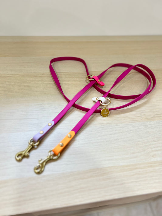 Hands-free biothane leash