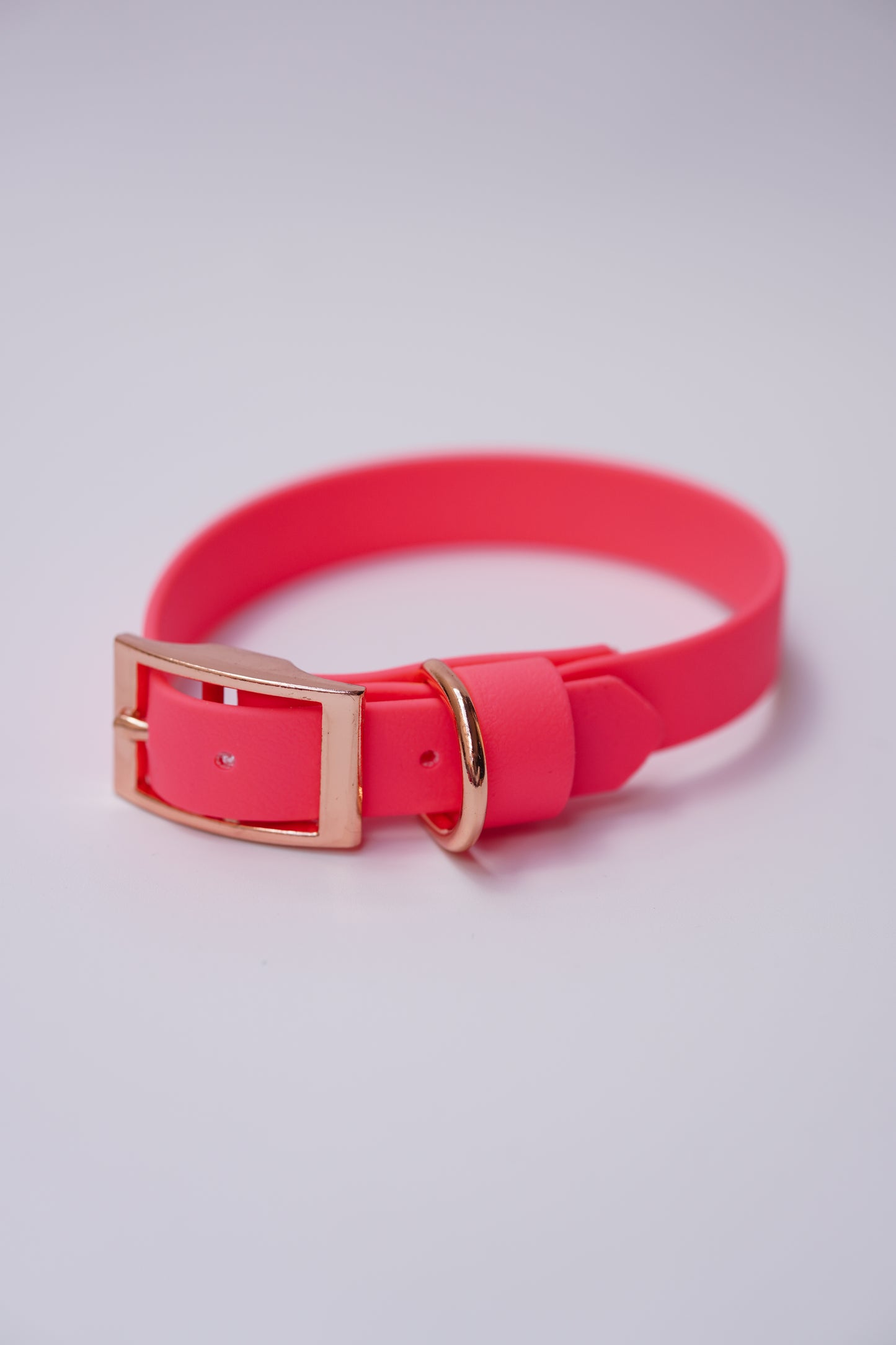 SD collar 20mm width (30-36cm) neon pink