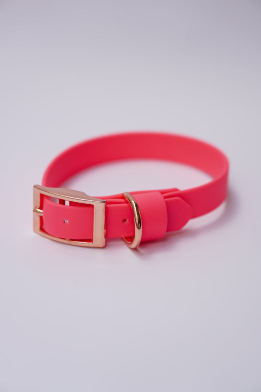 SD collar 20mm width (30-36cm) neon pink