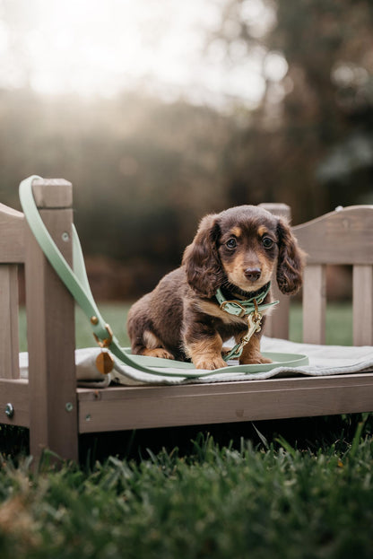 Puppy pack set
