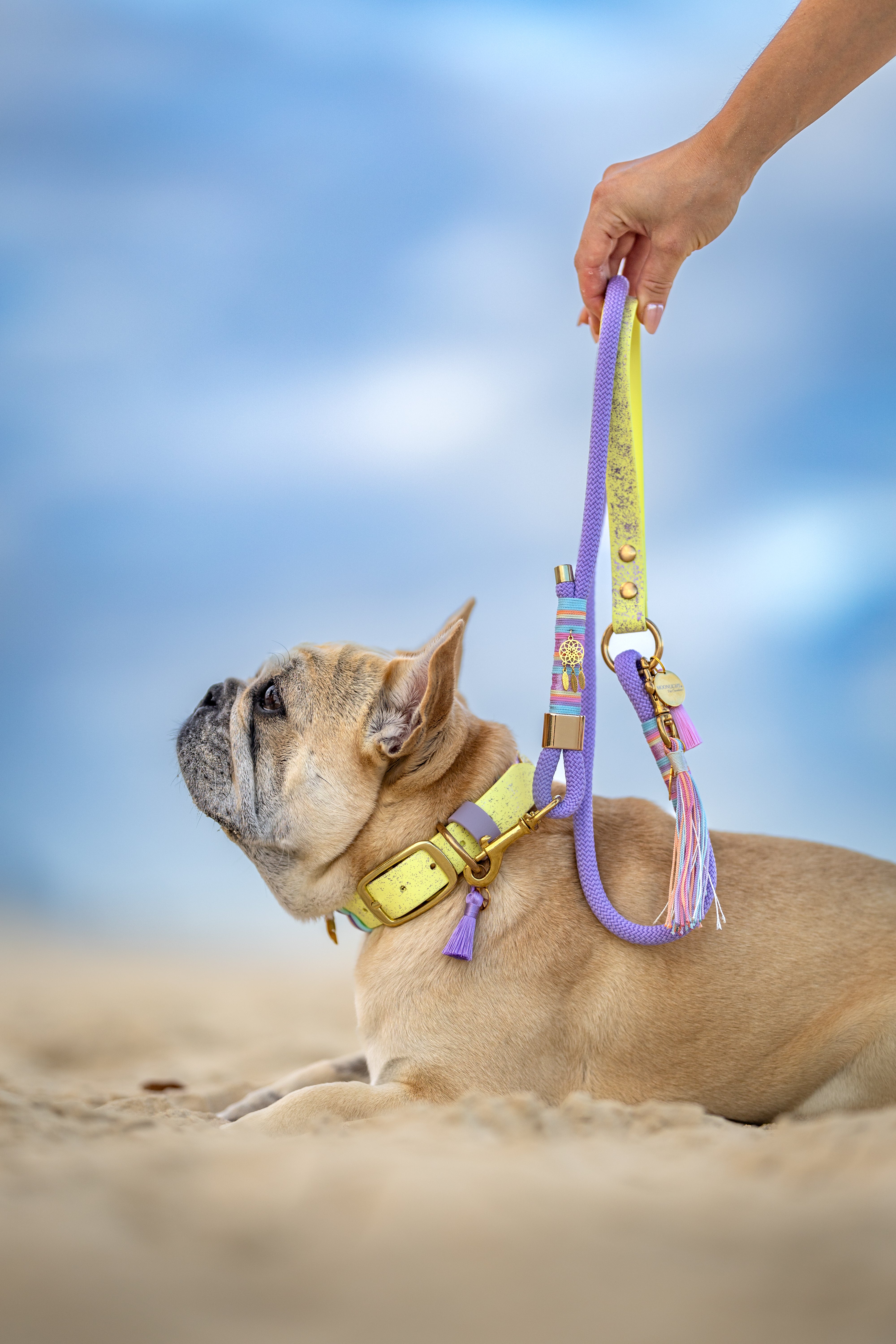 Wanderlust Rope Leash