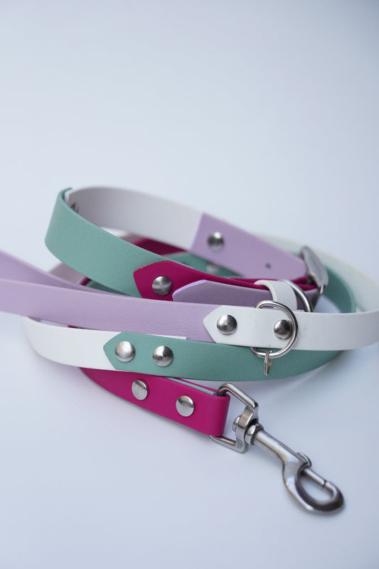 Collar & Leash set (35-45cm)