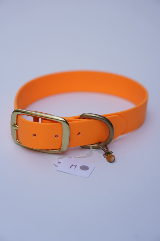 Biothane collar 25mm width (M)