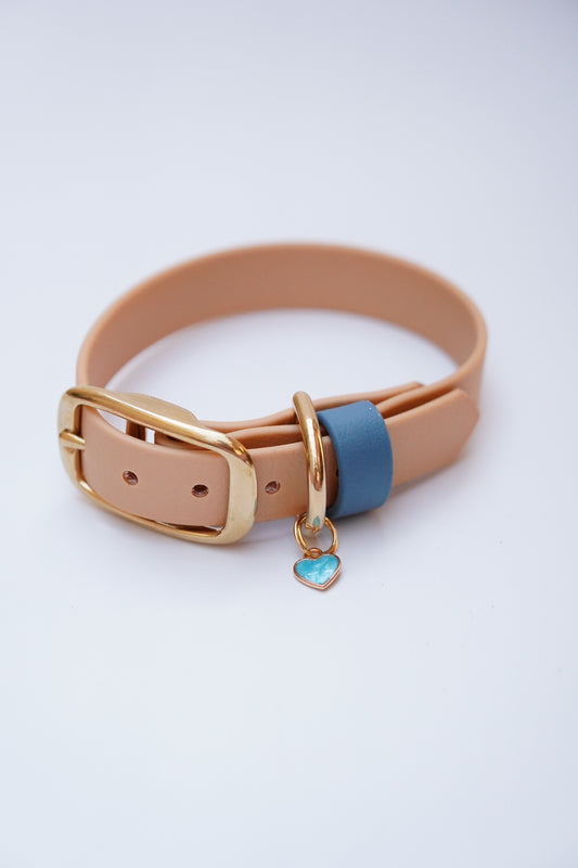 San Diego collar 20mm width (S)
