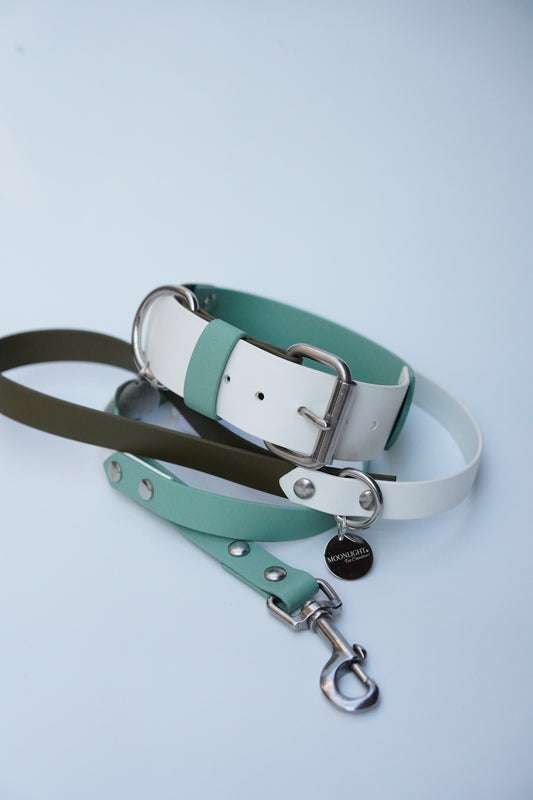 Collar & Leash set (35-45cm)