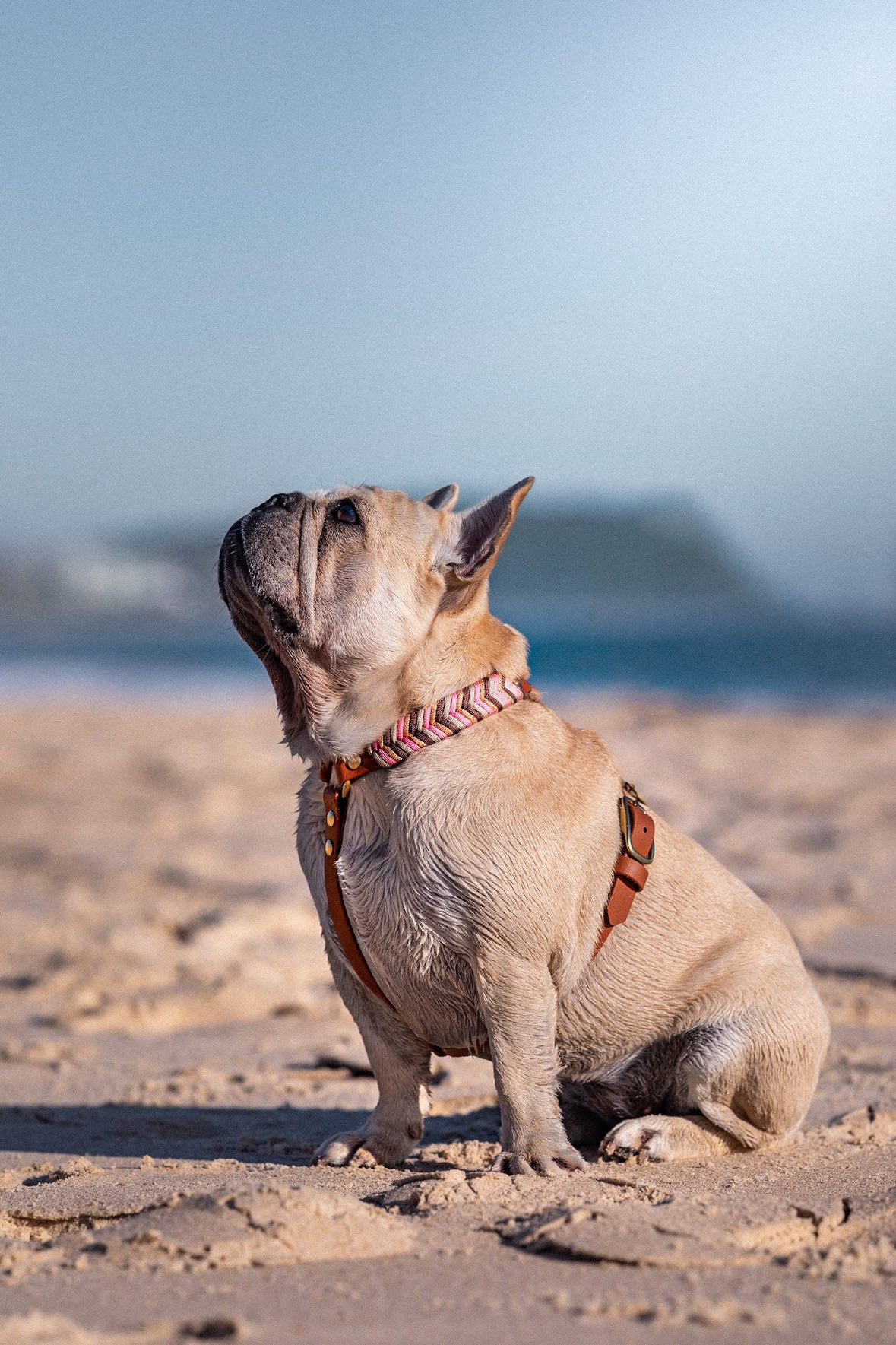 CUSTOM Braided Harness