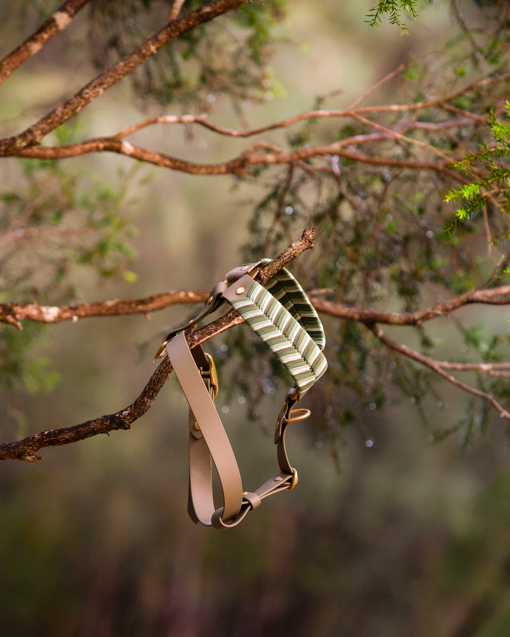 Harnesses