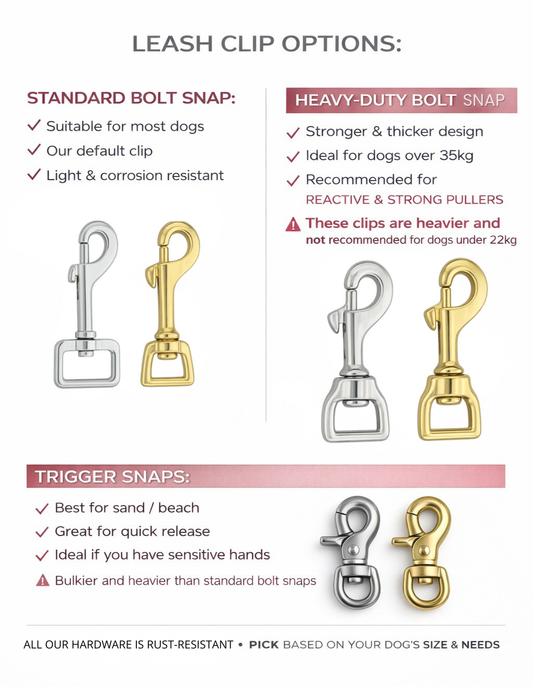 Custom Biothane® Leash