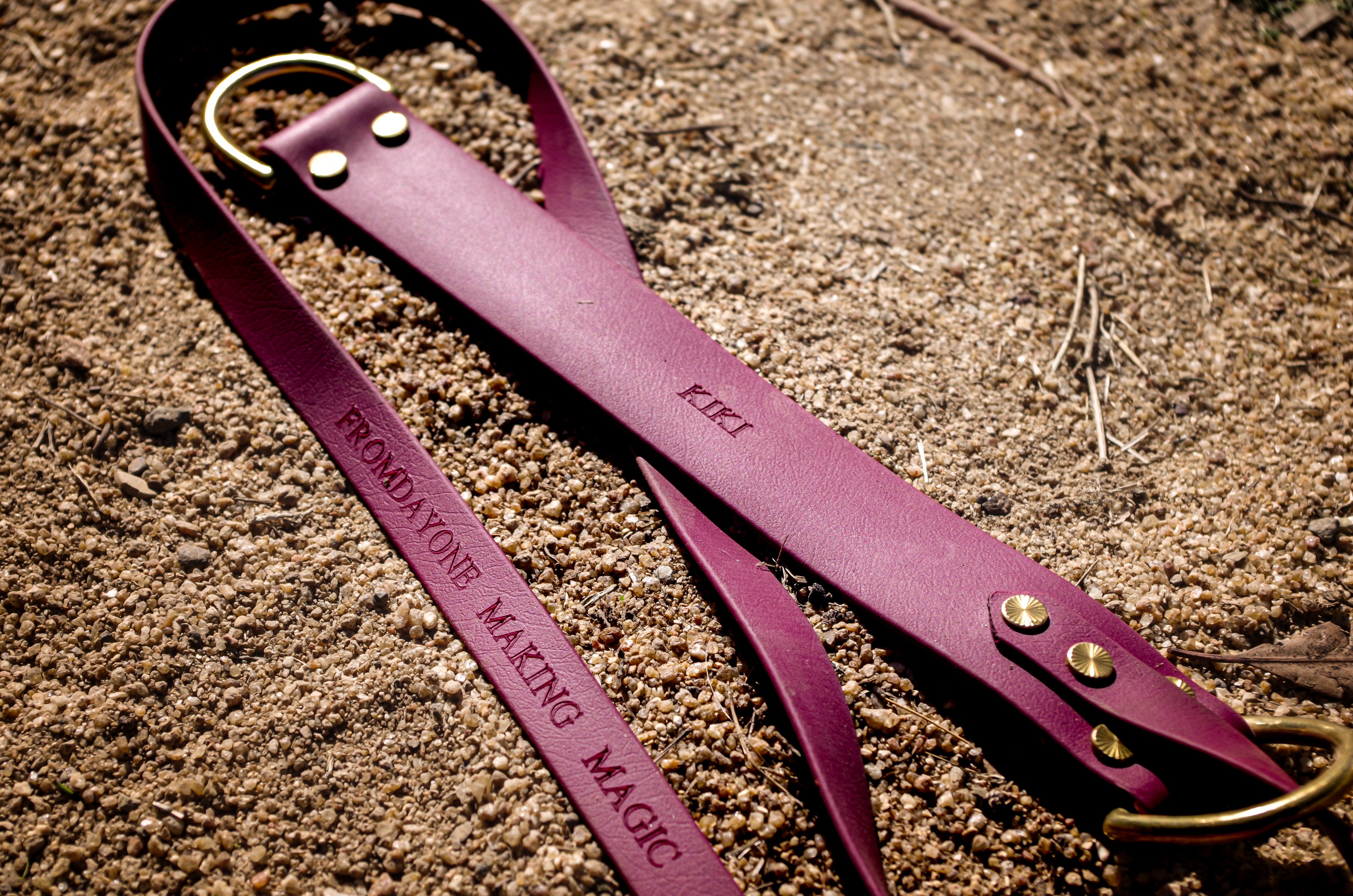 Lure Coursing Lead