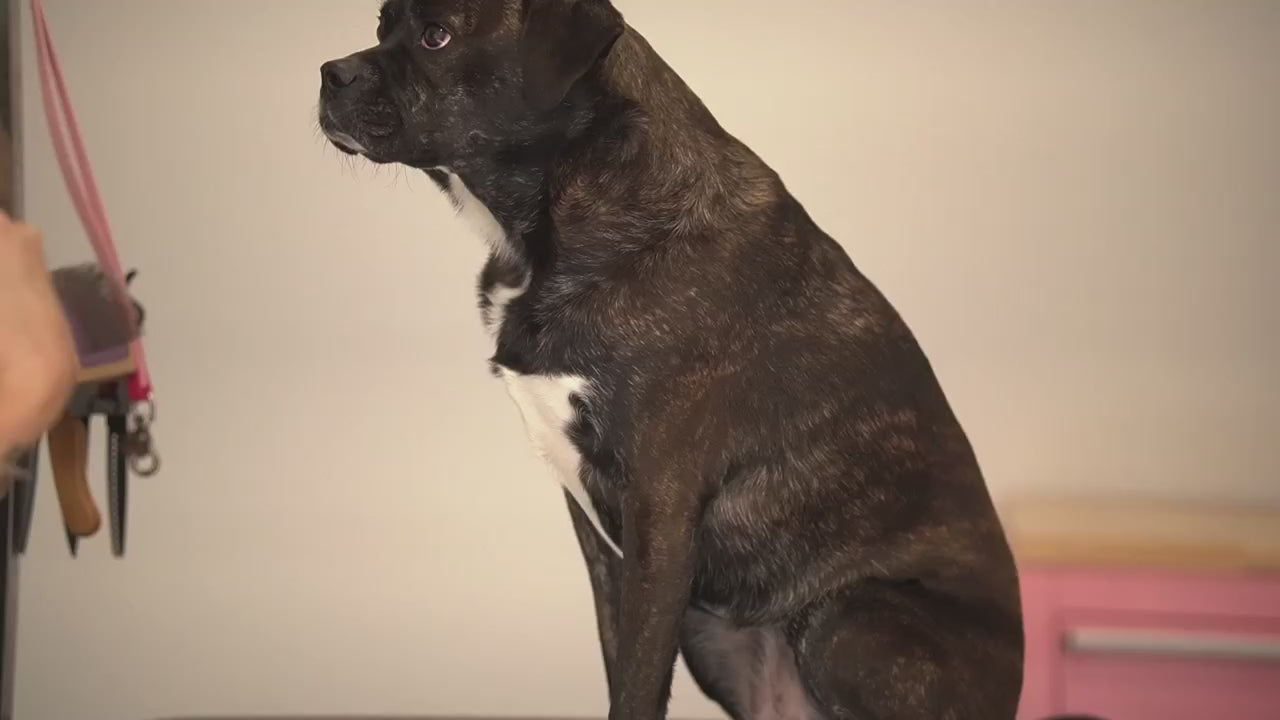 Load video: 