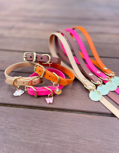 Puppy pack set