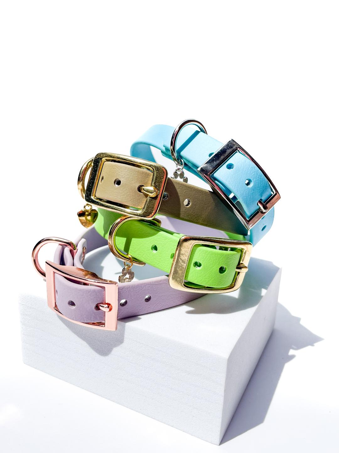 Lite San Diego collar ( MULTI-PACK )