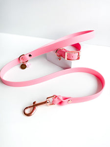 Biothane Leash