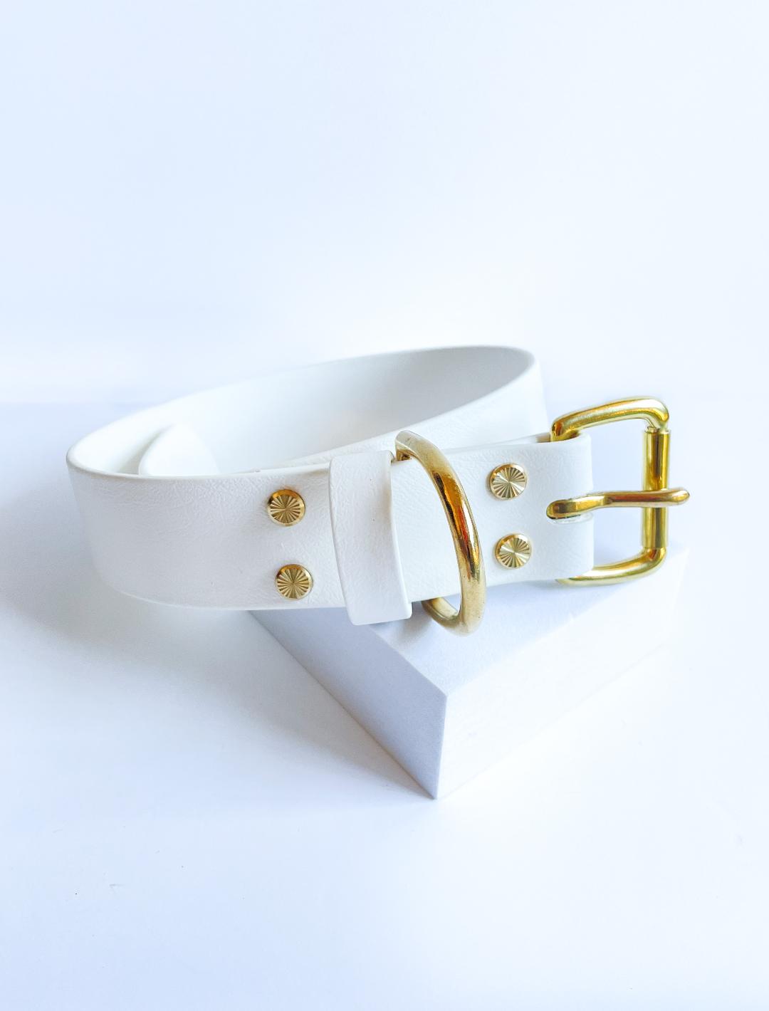 38mm Biothane collar