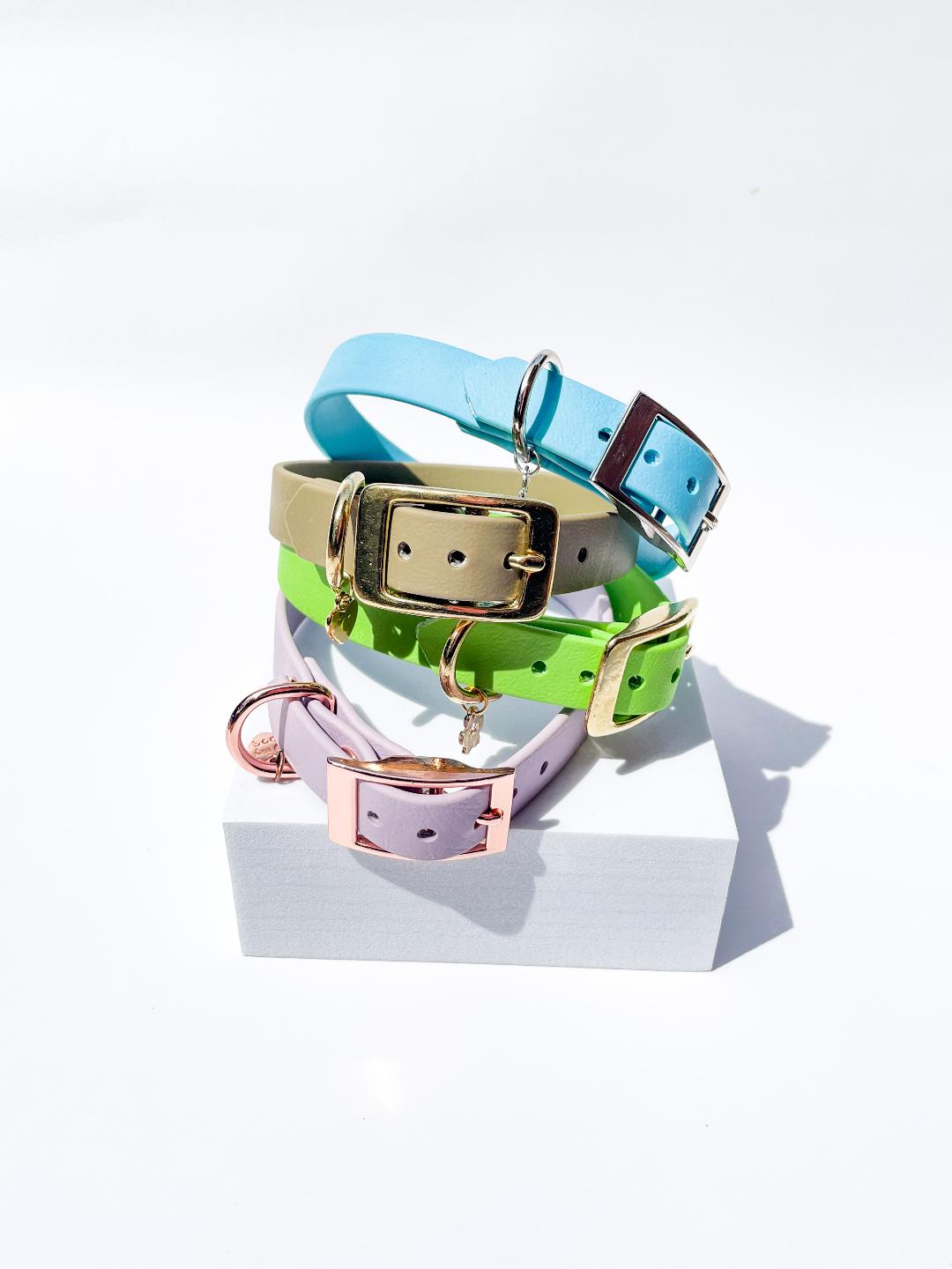 Lite San Diego collar ( MULTI-PACK )